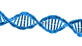 dna,生物学,科学