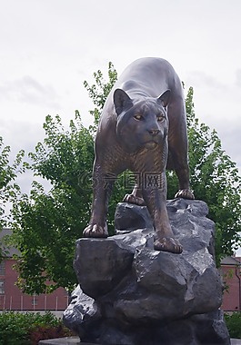 美洲狮,雕像,山狮