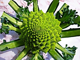 蔬菜,绿色,饮食