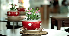 全家福,红色,鲜花