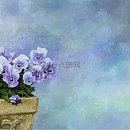 潘茜,厂,花盆