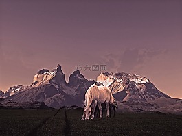 托雷斯,马,山