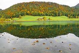 埃尔毛,凯撒山麓舍福（scheffau）,奥地利