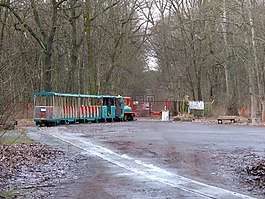 火车,plänterwald,老