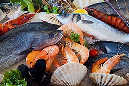海鲜,食品,健康