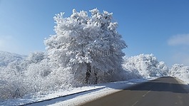 冬季,路,冬季道路