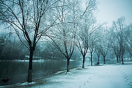 启真湖,浙大,雪景