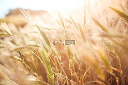 平衡,启示,动机