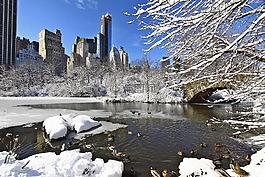 公园,纽约,曼哈顿