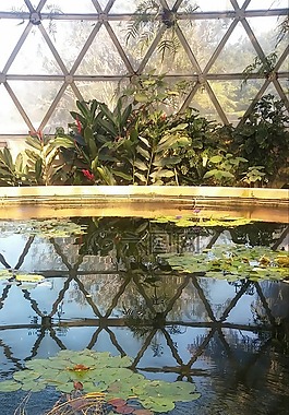 测,圆顶,生物圈