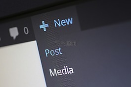 cms,wordpress,内容管理系统