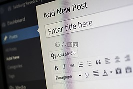 cms,wordpress,内容管理系统