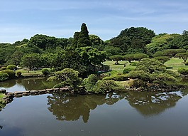 日本,东京,日本花园