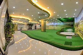 屏幕的高尔夫球,高尔夫球,把