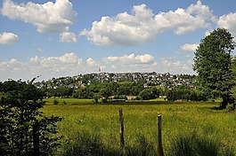 jelenia góra,sauerland,arnsberg 森林