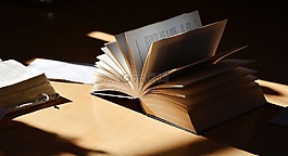 本书,读取,文学