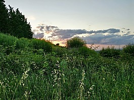 森林,草地,性质