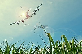 飞机,飞行,天空