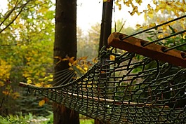 吊床,秋天,关闭了