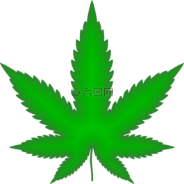 大麻,药物,叶