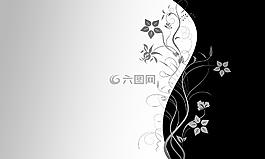 壁纸,黑色,白