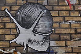 街头艺术,墙,不干胶标签