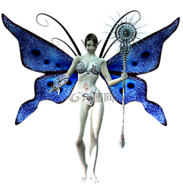 仙女,翅膀,工作人员