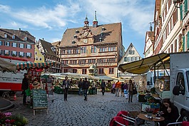 图宾根,大会堂,市场