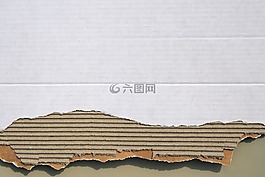 纸板,瓦楞纸的板,纸