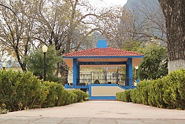 墨西哥,拉丁美洲,rayones