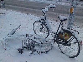 自行车,雪,明斯特