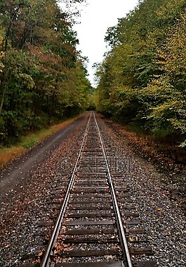 火车铁轨,旅行,秋季旅行