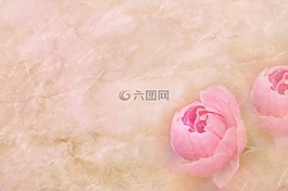 文具,纸,鲜花