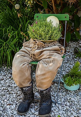 躯干,裤子,草药