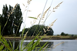 主要,水,河