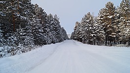 冬季景观,冬季,路