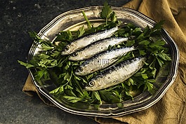 沙丁鱼,鱼,午餐