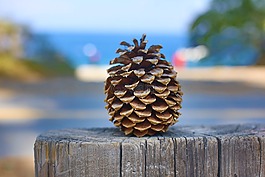 松球,太浩湖,太浩