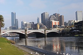河岸,城市,日光