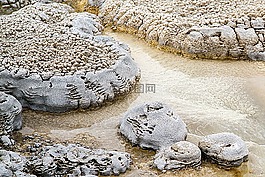 大提顿国家公园,怀俄明,斯内克河