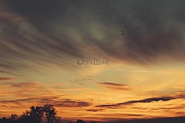 天空,橙色,日落