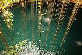 丛林,水,海