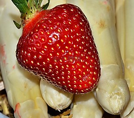 草莓,芦笋,美味