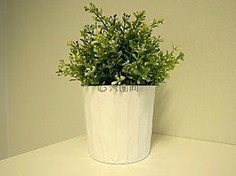 厂,室内植物,塑料花