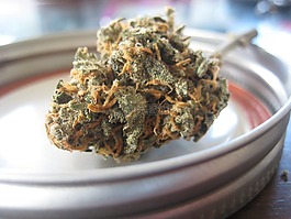 鲜花,自然,领导