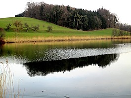 水域,池塘,豪普特维尔