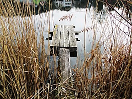 水域,池塘,豪普特维尔