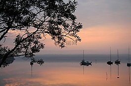 湖,早晨,粉色