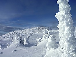 大白,加拿大,雪