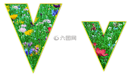 v,信,字母表